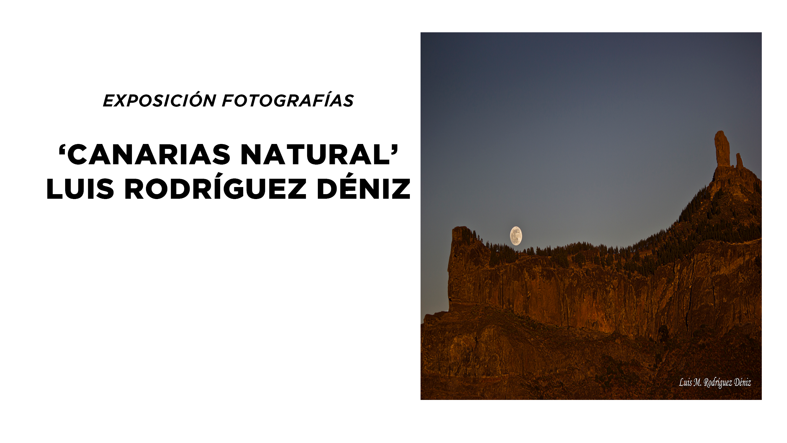 EXPOSICIÓN: 'CANARIAS NATURAL'
